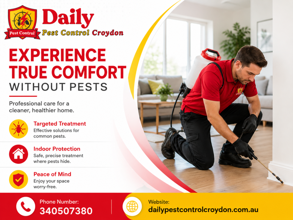 daily-pest-control-croydon-big-0