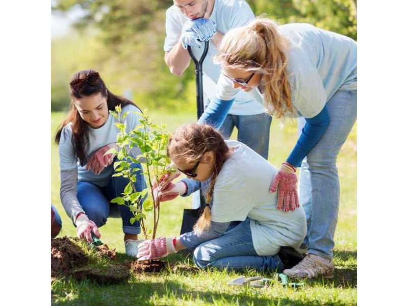 trusted-community-support-services-melbourne-small-1