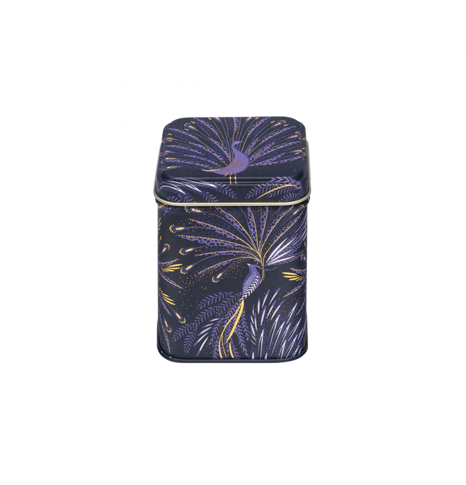 decorative-tin-boxes-with-lids-for-home-display-everyday-use-big-0