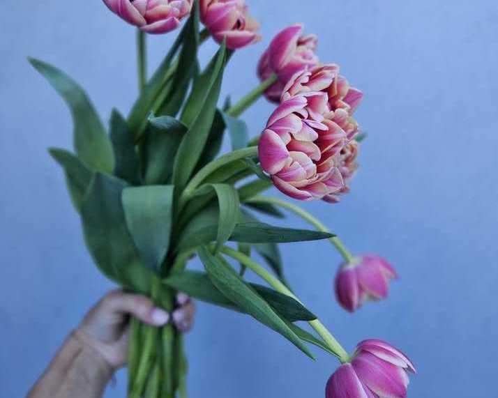 beautiful-birthday-flowers-sydney-to-make-every-celebration-special