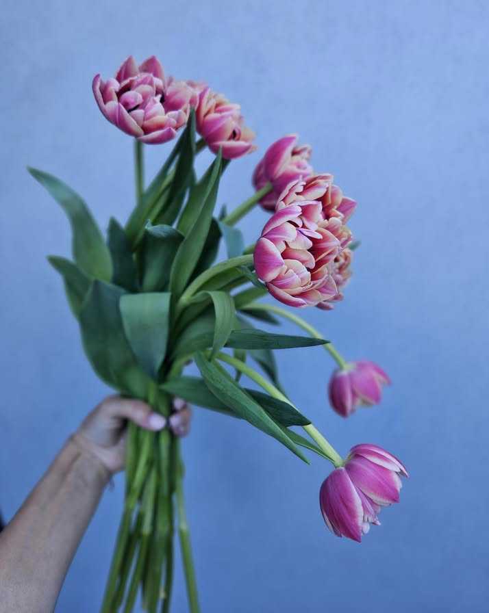 beautiful-birthday-flowers-sydney-to-make-every-celebration-special-big-0