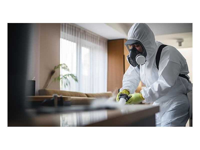 protect-your-property-with-professional-spider-control-in-brisbane-small-0