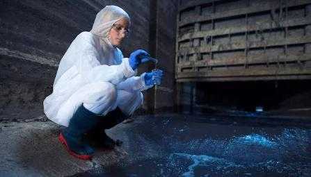 toxic-spores-growing-black-mould-removal-brisbane-big-1