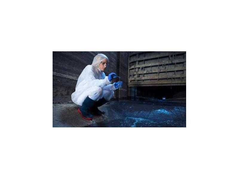 toxic-spores-growing-black-mould-removal-brisbane-small-1