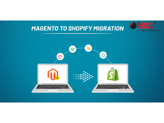 Seamless Magento to Shopify Migration: Elevate Your Store