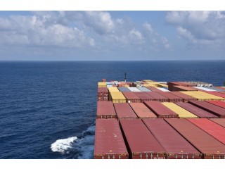 Efficient Shipping Solutions in Sydney with Tiger Shipping Containers