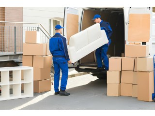 Professional Single-Item Removal Services in Auckland, New Zealand
