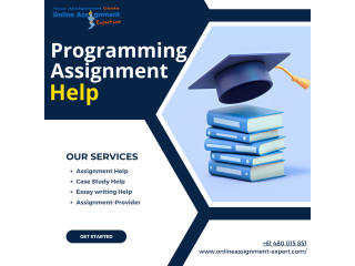 Expert Programming Assignment Help from Online Assignment Expert