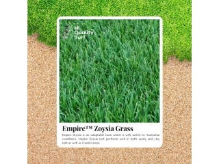 Transform Your Yard With Empire Zoysia