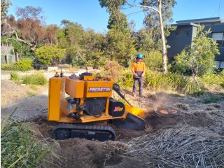 Get one of the best Stump Grinding & Removal In Geelong