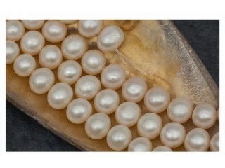Discover Significance and Properties of Pearl Gemstone