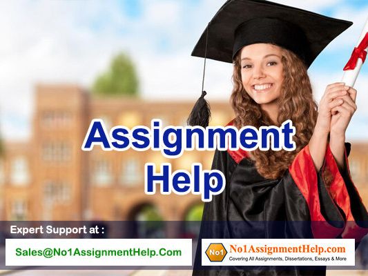 get-instant-assignment-help-by-professionals-at-no1assignmenthelpcom