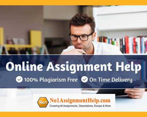 online-assignment-help-by-no1assignmenthelpcom