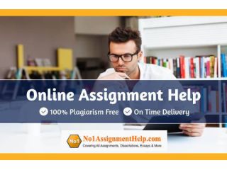 online-assignment-help-by-no1assignmenthelpcom-small-0