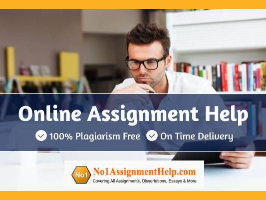 online-assignment-help-by-no1assignmenthelpcom