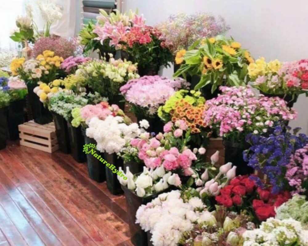 wholesale-square-flower-buckets