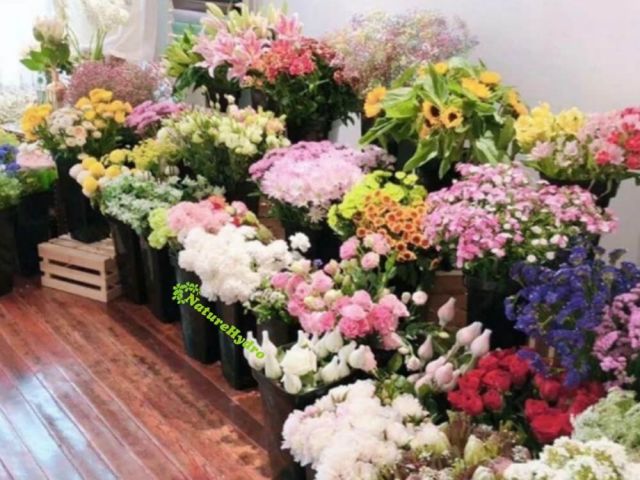 wholesale-square-flower-buckets