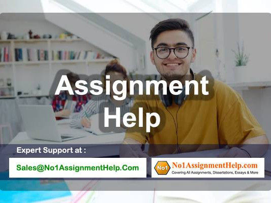 assignment-help-for-management-students-in-australia-by-no1assignmenthelpcom-big-0