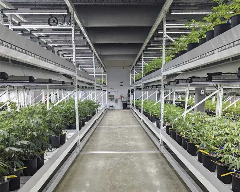 mobile-vertical-grow-rack-system