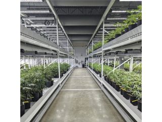 mobile-vertical-grow-rack-system-small-0