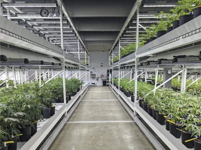 mobile-vertical-grow-rack-system