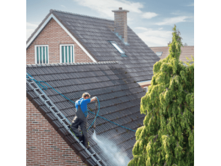 dougs-window-washing-small-3