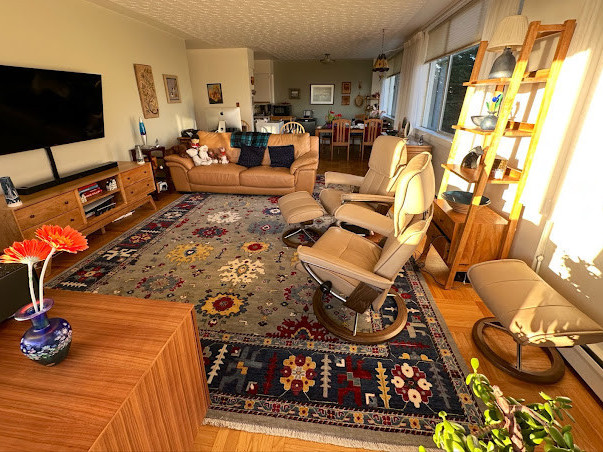 babaks-oriental-carpets-big-2