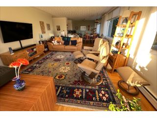 babaks-oriental-carpets-small-2