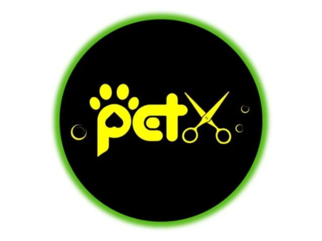 trusted-pet-grooming-services-in-scarborough-on