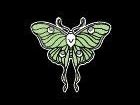 pretty-dead-taxidermy-inc