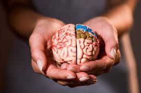 deep-brain-reorienting-therapists-advanced-trauma-therapy-big-0