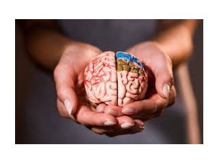 deep-brain-reorienting-therapists-advanced-trauma-therapy-small-0