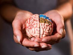 deep-brain-reorienting-therapists-advanced-trauma-therapy
