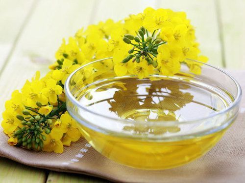 premium-canadian-sourcing-canola-oil-manufacturers-in-canada