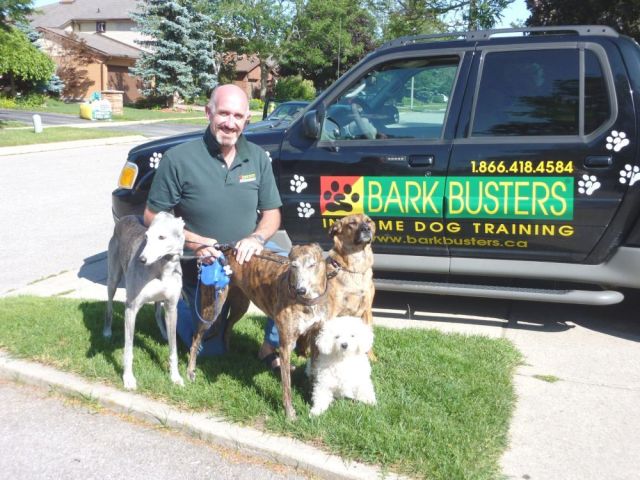 trusted-puppy-training-waterloo-by-bark-busters-guelph