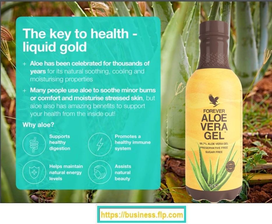start-your-own-home-based-business-with-forever-living-products-big-3