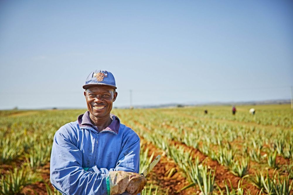aloe-first-81-aloe-vera-in-a-convenient-spray-big-3