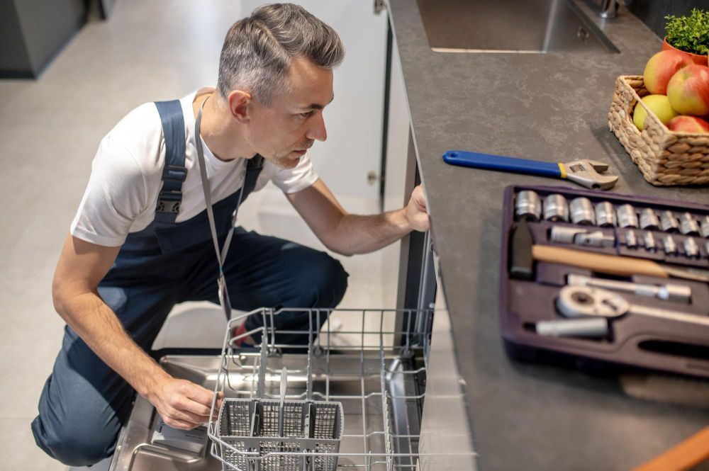 certified-technicians-for-dishwasher-repair-in-surrey-big-0