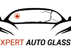 expert-auto-glass-surrey