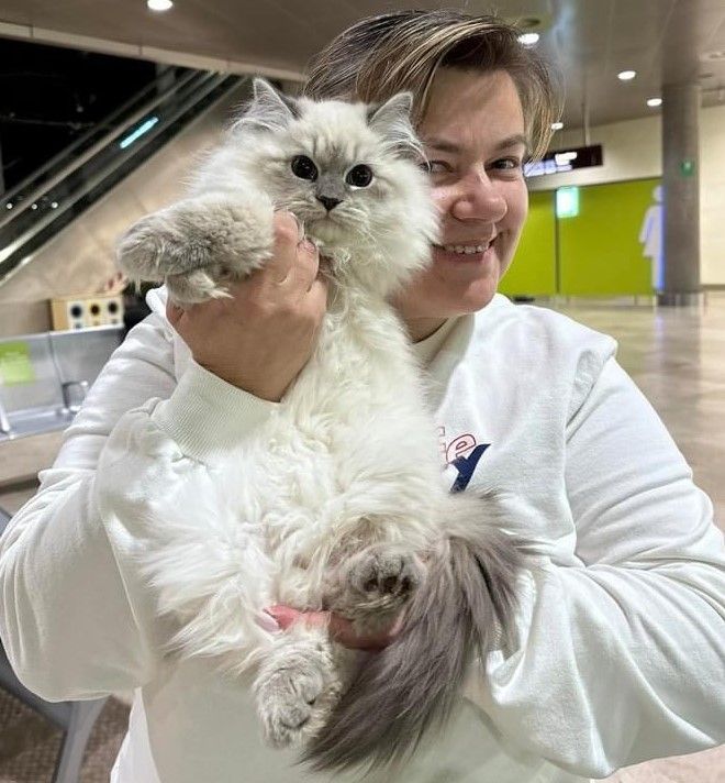 siberian-kittens-who-are-we-big-0