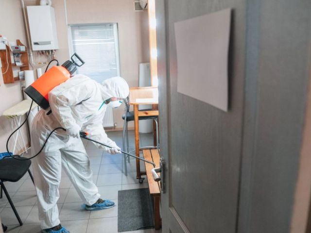 your-guide-to-the-best-pest-control-services-in-surrey-bc