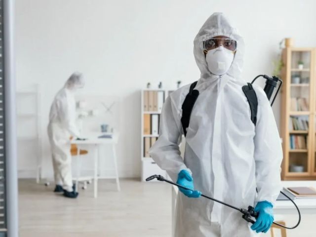 reliable-pest-removal-solutions-in-abbotsford