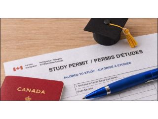 study-permit-extension-in-brampton-small-0