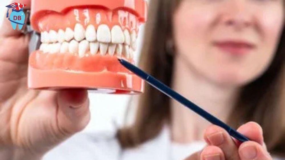 best-inbde-exam-preparation-resources-for-dentists-in-canada-big-0