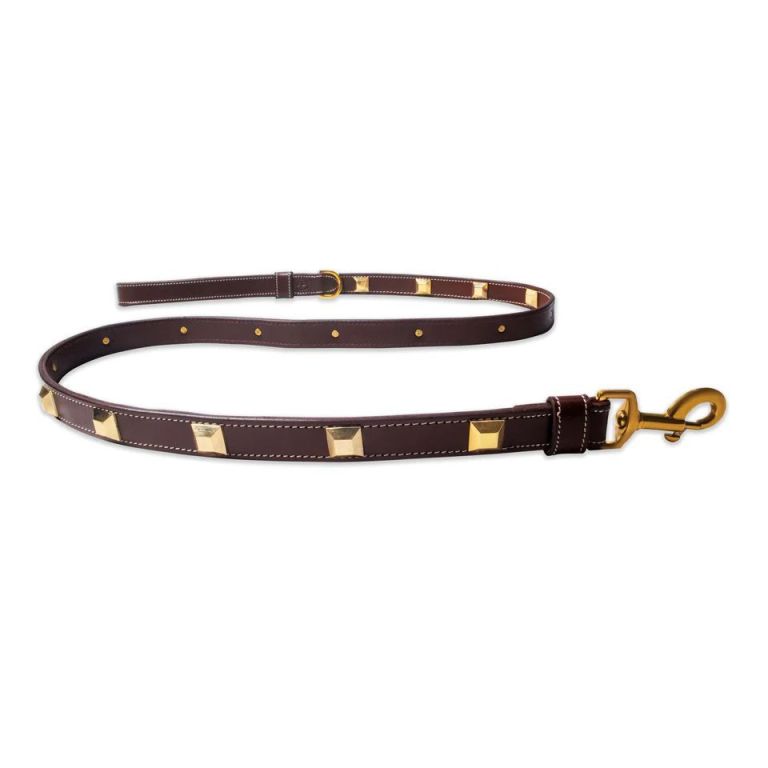 why-leather-leashes-for-dogs-are-a-smart-choice-big-0