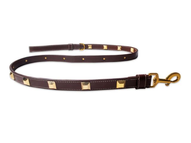 why-leather-leashes-for-dogs-are-a-smart-choice