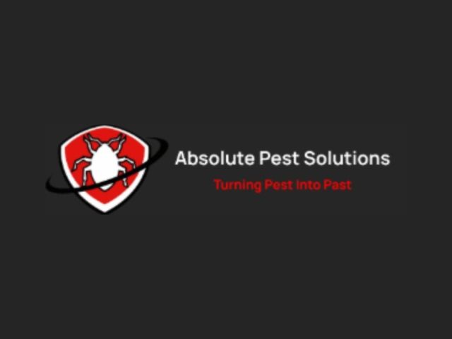 absolute-pest-solutions