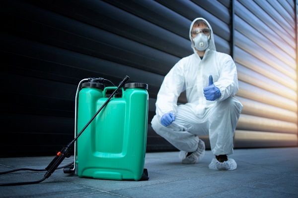 keep-your-business-pest-free-with-commercial-pest-control-big-0