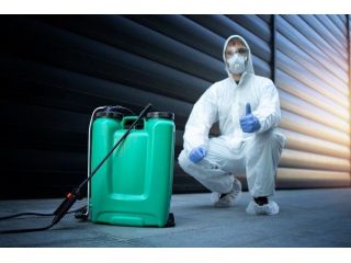 keep-your-business-pest-free-with-commercial-pest-control-small-0