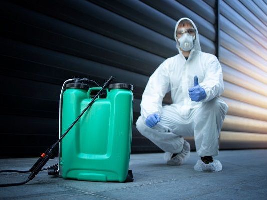 keep-your-business-pest-free-with-commercial-pest-control